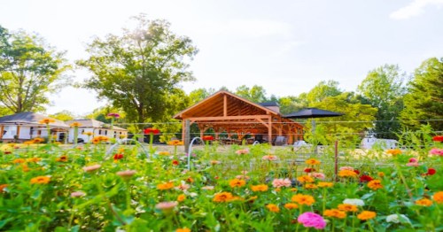 A vibrant garden filled with colorful flowers in front of a wooden pavilion surrounded by trees.