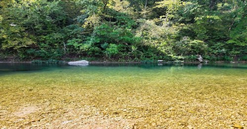 A serene river with clear water and a rocky bottom, surrounded by lush green trees and foliage.