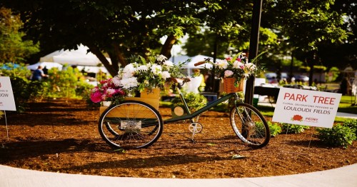 A decorative bicycle with flowers parked in a garden, surrounded by signs for a floral event.