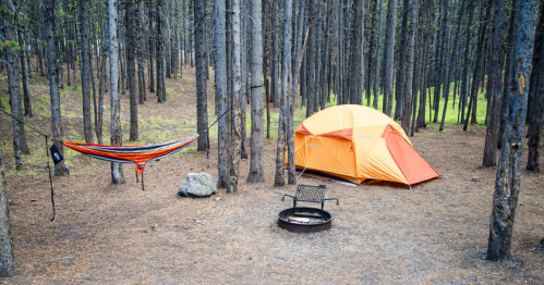 A bright orange tent and a colorful hammock set up in a forest clearing surrounded by tall trees.
