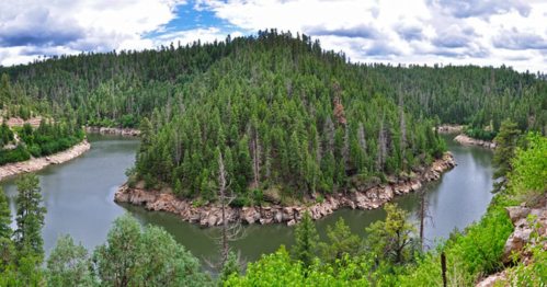 A scenic view of a river winding around a lush, forested island under a cloudy sky.