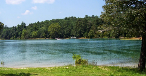 A serene lake surrounded by lush green trees, with a boat gliding across the water under a clear blue sky.