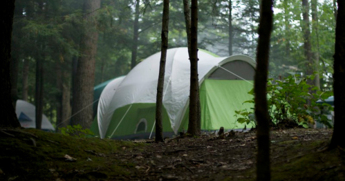 A green and white tent nestled among trees in a misty forest, with a dirt path leading towards it.
