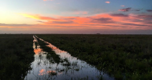A serene landscape at sunset, featuring a winding waterway reflecting colorful clouds in a grassy marsh.