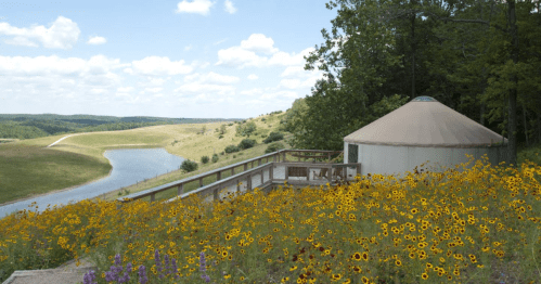 A yurt surrounded by vibrant wildflowers, overlooking a serene lake and rolling hills under a partly cloudy sky.