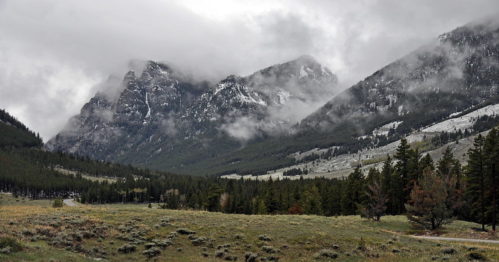 A misty mountain landscape with rugged peaks, dense forests, and a cloudy sky.