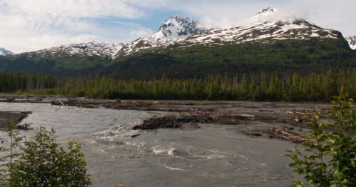 A scenic view of a river flowing through a forested area, with snow-capped mountains in the background under a cloudy sky.