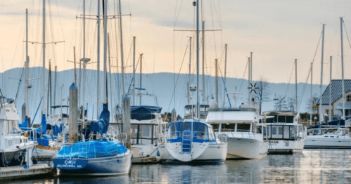 A marina filled with various boats and yachts, with mountains in the background under a soft, cloudy sky.