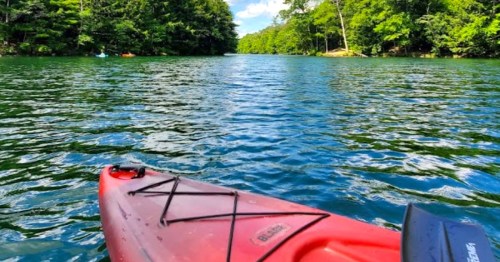 A red kayak on calm water, surrounded by lush green trees and a clear blue sky.