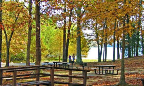A serene park scene with autumn foliage, picnic tables, and two people walking by a lake in the background.