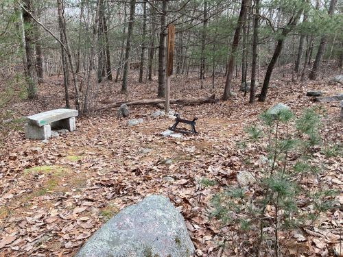 A serene forest scene with a stone bench, a sewing machine, and scattered leaves among trees and rocks.