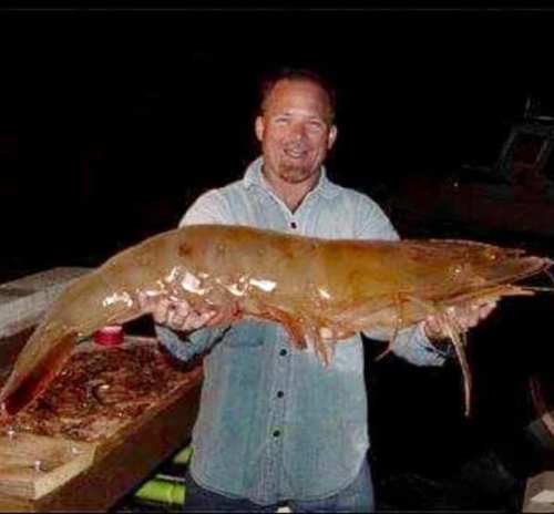 A person holds a large, translucent catfish, smiling proudly in a dimly lit setting.