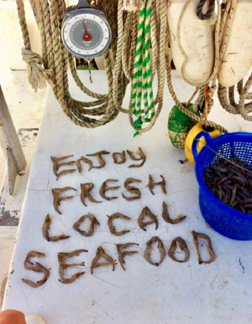 Text on a table reads "Enjoy FRESH LOCAL SEAFOOD," surrounded by fishing gear and a basket of seafood.