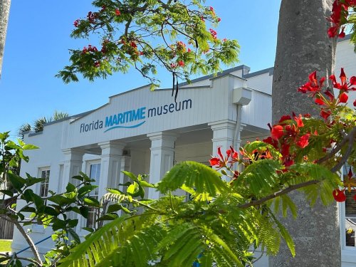 Exterior of the Florida Maritime Museum, featuring a white building and vibrant red flowers in the foreground.