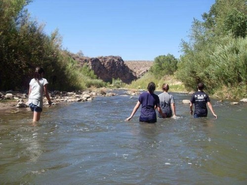Four people wade through a shallow river surrounded by greenery and rocky hills under a clear blue sky.