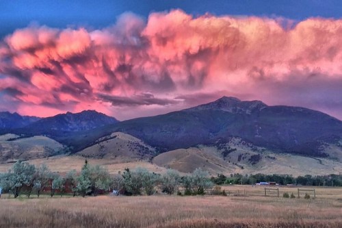 A vibrant sunset casts pink and purple hues over mountains and grassy fields, creating a stunning natural landscape.
