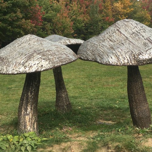 Three large, wooden mushroom sculptures stand in a grassy area, surrounded by trees with autumn foliage.