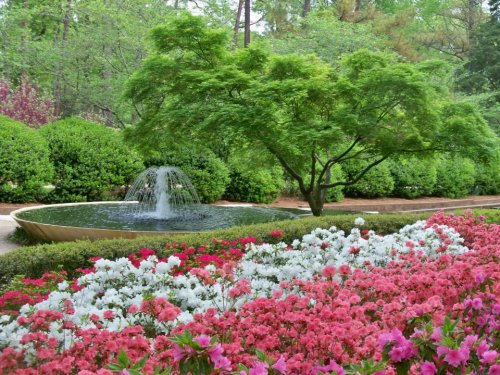 A serene garden featuring a fountain, lush greenery, and vibrant pink and white flowers in bloom.