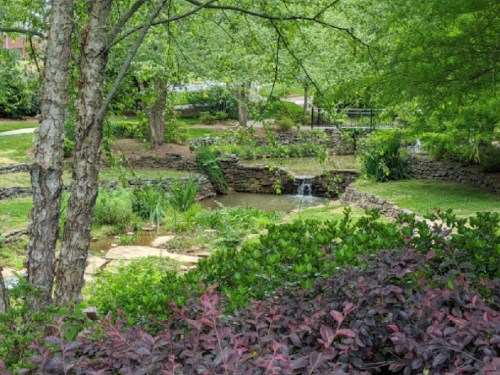 A serene park scene featuring a small pond, waterfall, lush greenery, and vibrant plants.