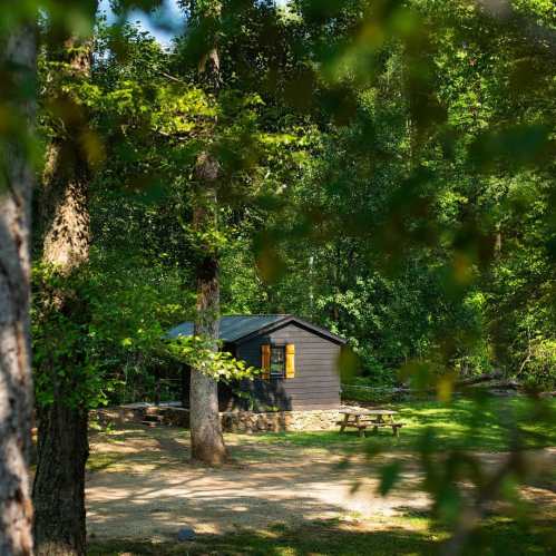 A small black cabin nestled among lush green trees, with a picnic table nearby in a serene outdoor setting.