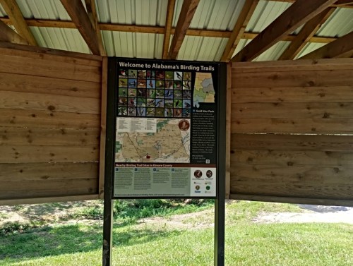 Signboard displaying a map and information about Alabama's Birding Trails, located in a sheltered area.