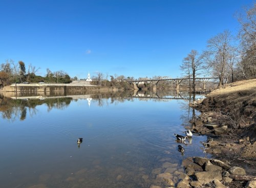 A serene river scene with ducks, a bridge in the background, and clear blue skies reflecting on the water.
