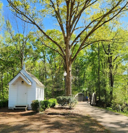 A small white building beside a path leading to a bridge, surrounded by lush green trees and bright blue sky.