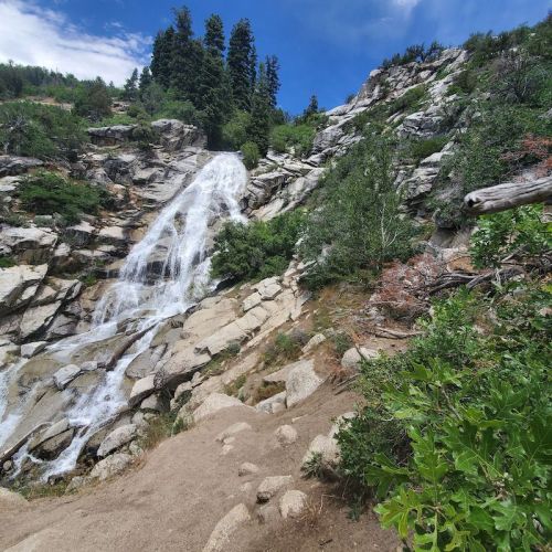 A cascading waterfall flows down rocky terrain, surrounded by lush greenery and tall trees under a blue sky.
