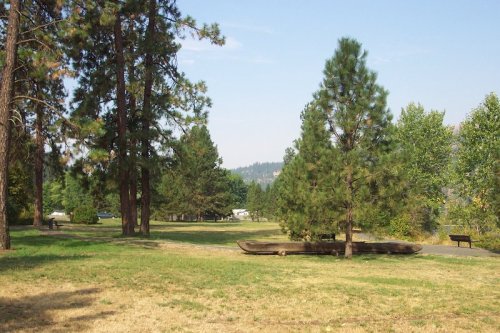 A serene park scene with tall trees, grassy areas, and a distant view of hills under a clear blue sky.