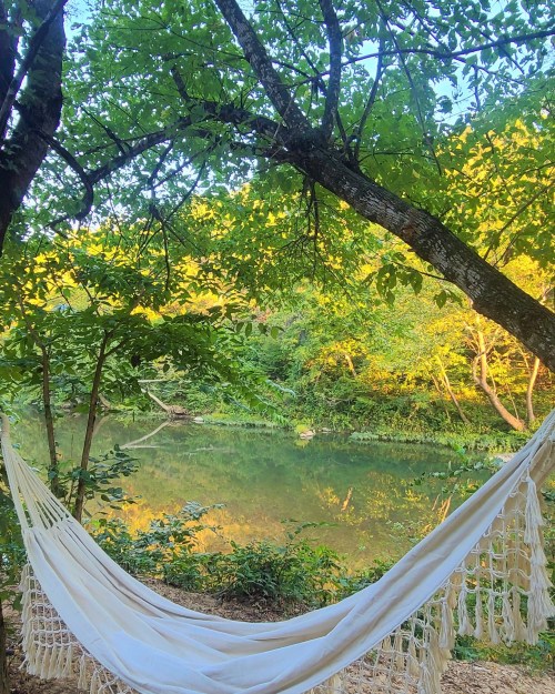 A serene hammock hangs between trees, overlooking a calm river surrounded by lush greenery and warm sunlight.