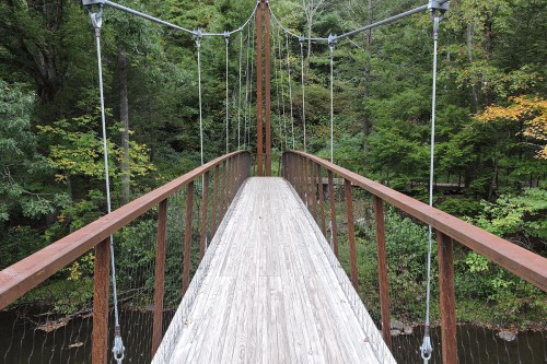 A wooden suspension bridge spans a lush green forest, leading over a calm river.