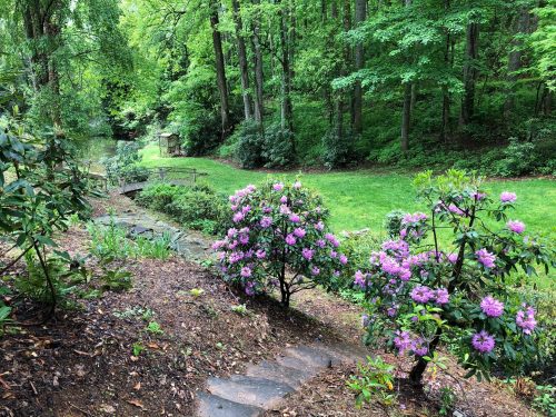 A serene garden scene with blooming pink rhododendrons, lush greenery, and a peaceful pond in the background.