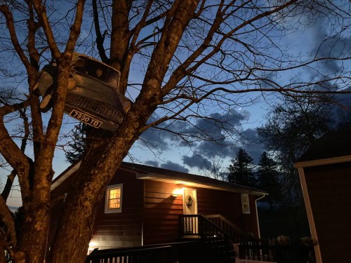 A tree at dusk with a vintage car hanging from its branches, beside a cozy house with warm lights.