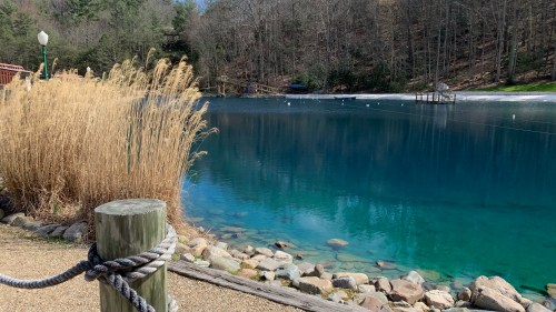 A serene lake surrounded by trees, with tall grasses in the foreground and a wooden dock in the distance.