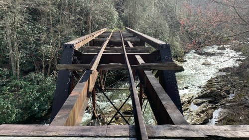 Abandoned railway bridge over a flowing river, surrounded by lush greenery and trees.