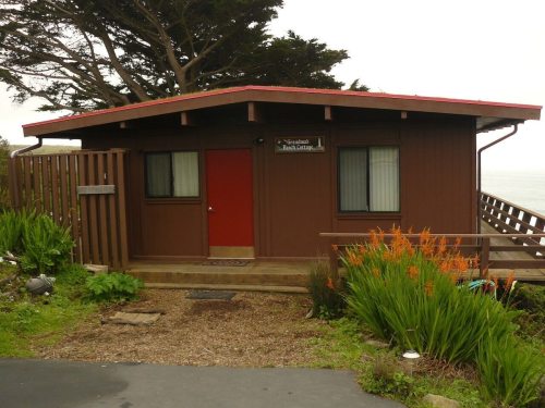 A brown cabin with a red roof, surrounded by greenery, near the coast on a cloudy day.