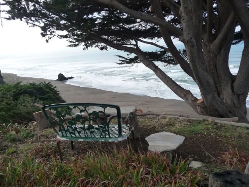 A scenic view of a beach from a hillside bench, surrounded by trees and coastal vegetation. Waves crash on the shore.