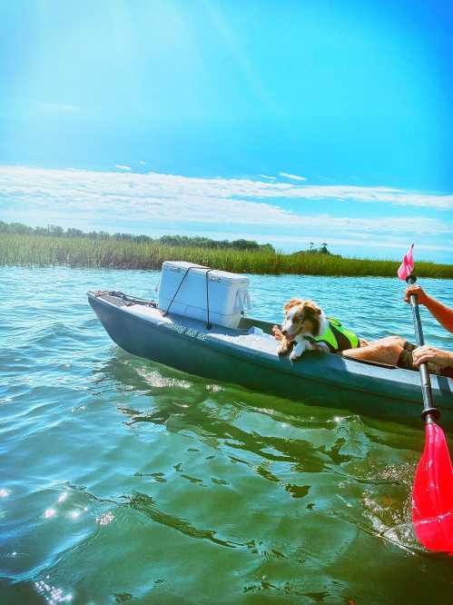 A dog in a life jacket relaxes on a kayak, with a person paddling in a sunny, serene waterway.