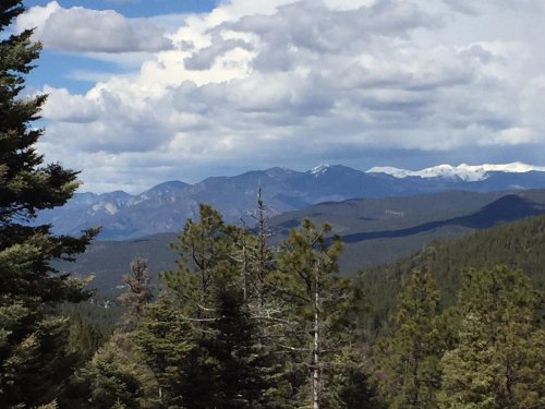 A scenic view of mountains under a cloudy sky, with evergreen trees in the foreground and snow-capped peaks in the distance.