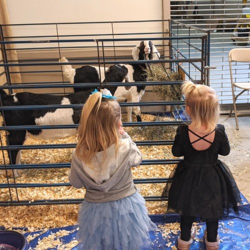 Two young girls, one in a gray hoodie and the other in a black dress, watch goats in a pen at a farm.