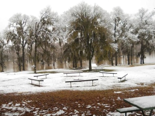 Snow-covered park with bare trees and picnic tables, near a river, creating a serene winter landscape.