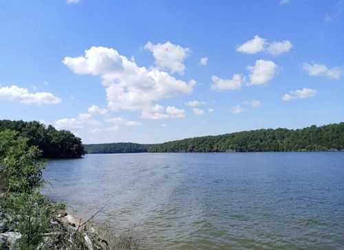 A serene lake surrounded by lush greenery under a bright blue sky with fluffy white clouds.
