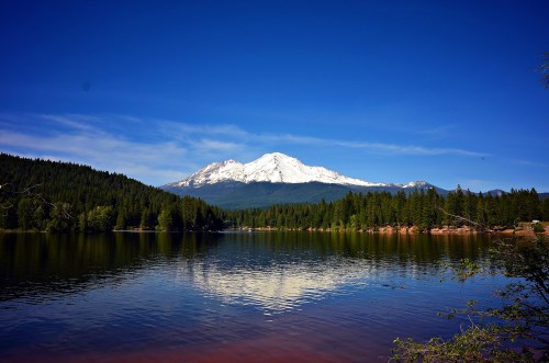 A serene lake reflects a snow-capped mountain under a clear blue sky, surrounded by lush green forests.