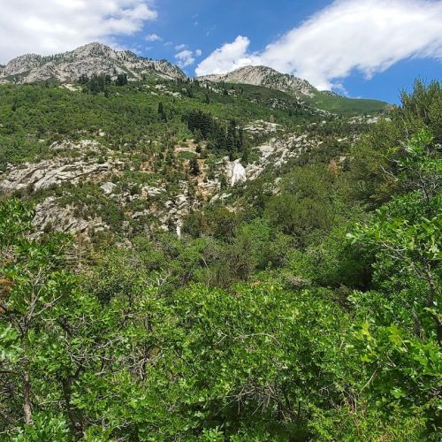 Lush green landscape with mountains in the background and a waterfall cascading down rocky terrain under a blue sky.