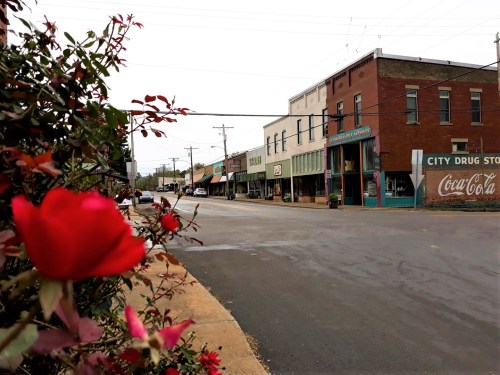 A quiet street scene featuring historic buildings and a red rose in the foreground.