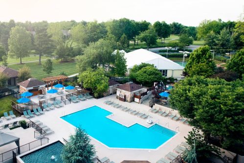Aerial view of a pool area with lounge chairs, umbrellas, and greenery in a serene outdoor setting.
