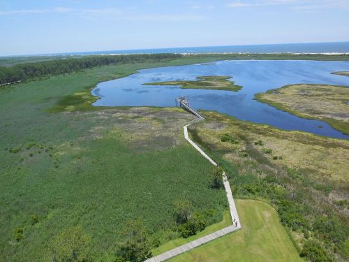 Aerial view of a lush green landscape with a wooden walkway leading to a pier over a calm blue water body.