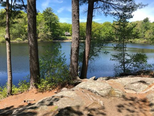 A serene lake surrounded by trees and rocky terrain under a clear blue sky.
