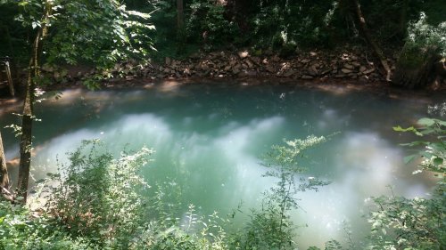 A serene, greenish pond surrounded by lush trees and rocky banks in a peaceful forest setting.