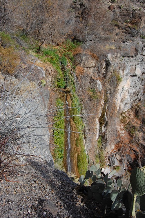 A small waterfall cascades down a rocky cliff, surrounded by dry vegetation and cacti.